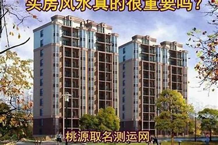 属虎人戴什么最旺本命年