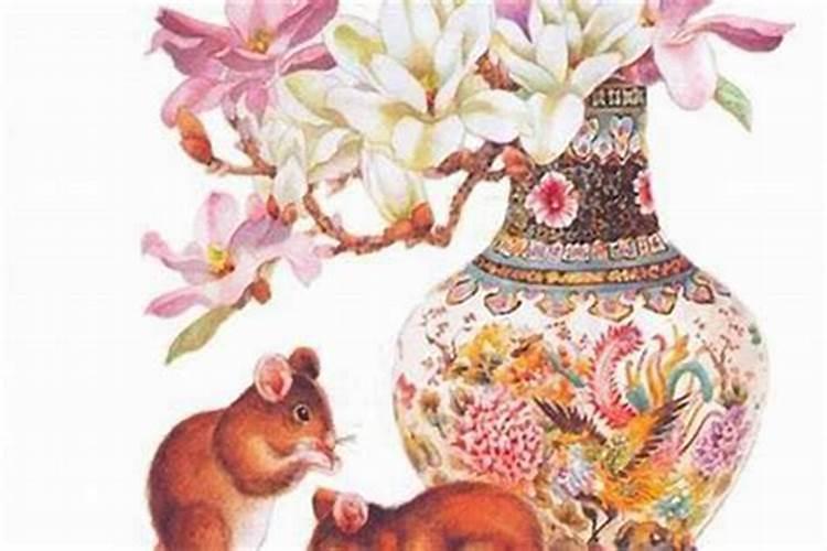 1996属鼠女生的命运
