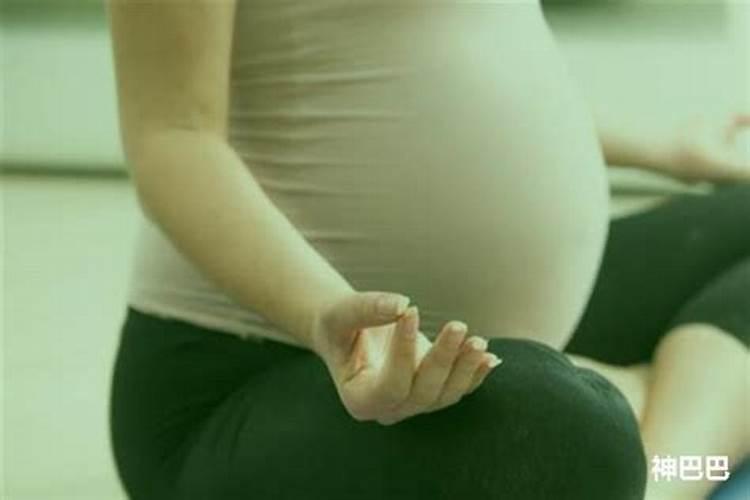 属虎女2024年考试运 2024年属虎女如何提升考试运