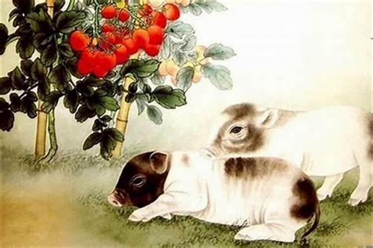 女属鼠和男属鸡可不可以合婚