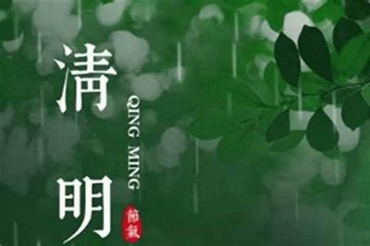 2025年属狗人的全年每月运势