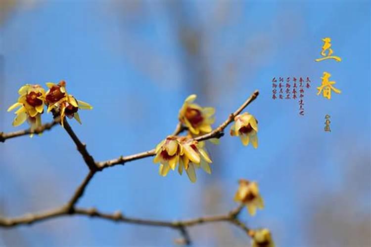 立春有什么习俗