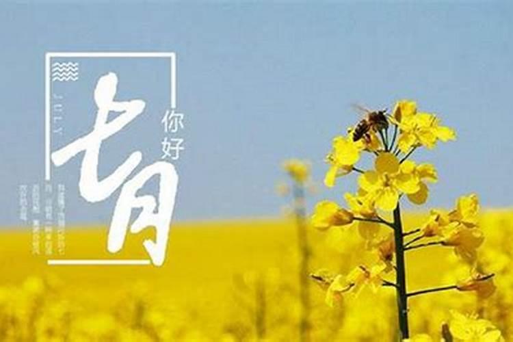 小年的祝福语50句