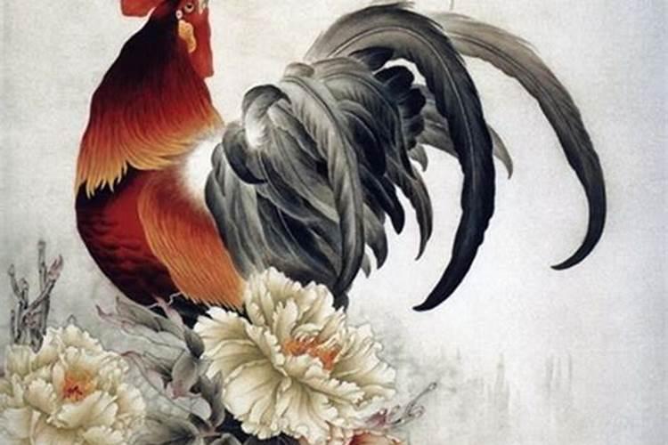 81年生人属鸡男AB血型巨蟹座阳历7月12生日配什么样的合适？
