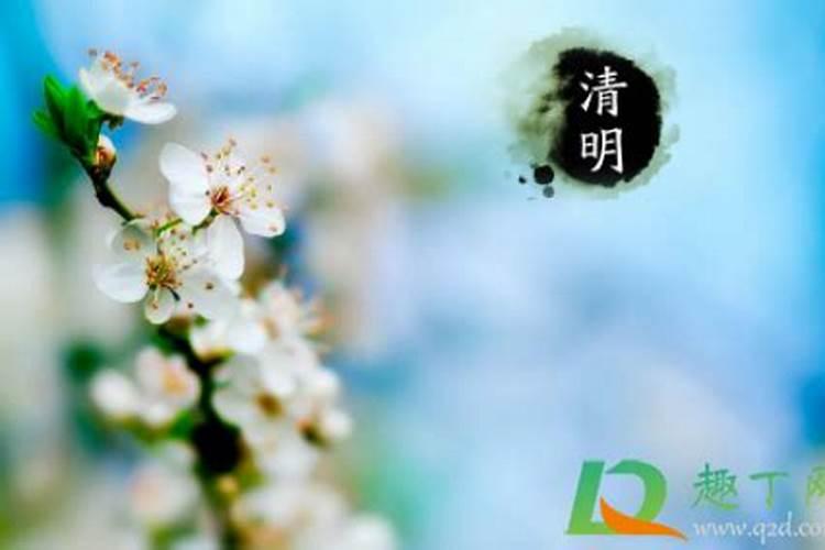 97年的牛和98年的虎配吗？