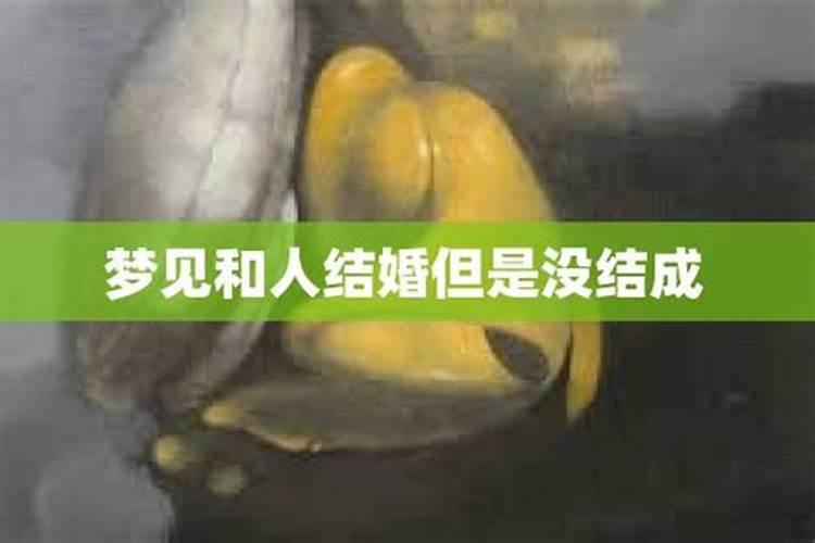 我梦见自己和陌生人结婚了。但是没有结成。