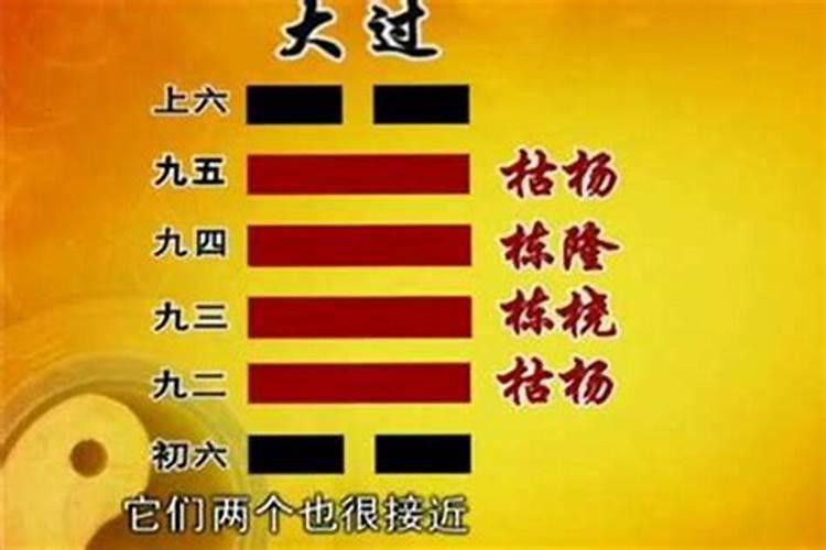 中国各地的风水命理大师都有哪些？