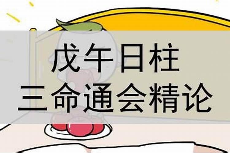 戊午日详解