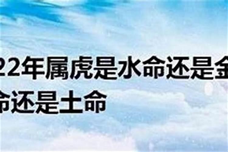 1974年属虎的是什么命2024