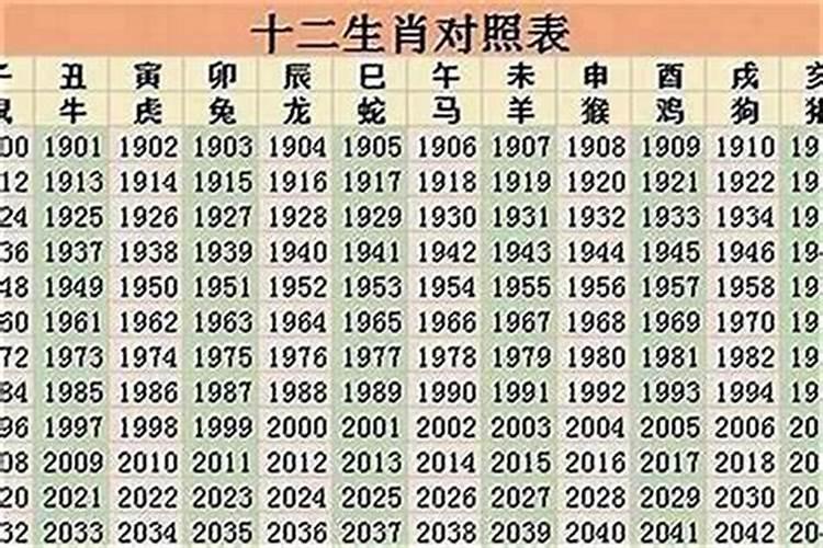 99年的兔2025运势
