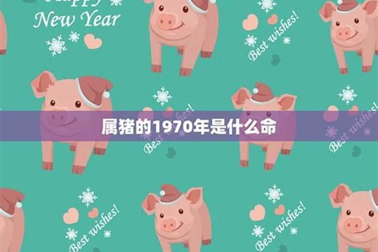 我是1970年12月26日出生的今年运势如何