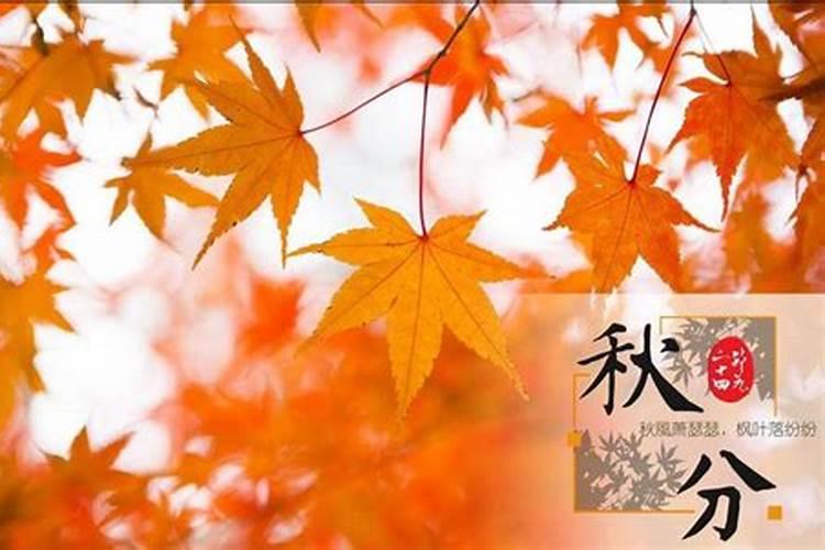 秋分有哪些民俗习惯