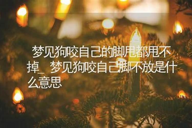梦见被狗咬脚不放的预兆