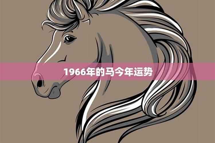 1966年属马2024年运势及运程详解 66年属马人2024年龙年每月运程