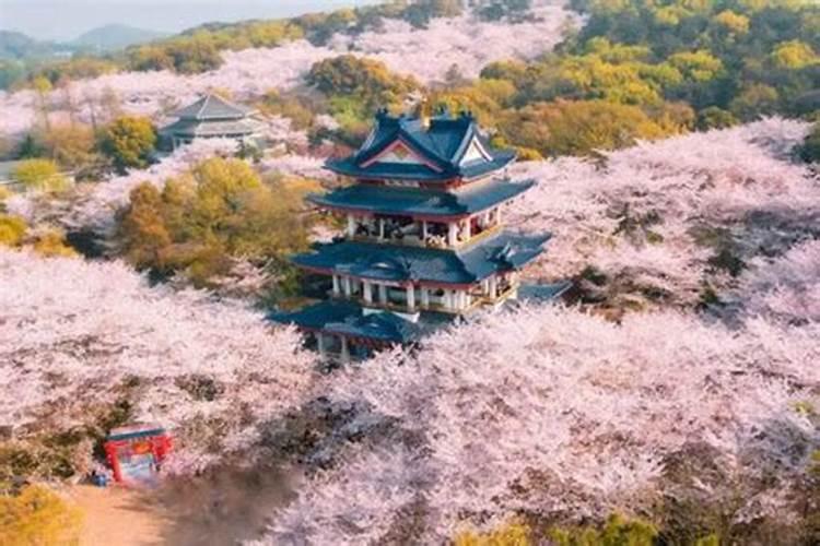 无锡端午节适合带孩子去哪玩,无锡暑期亲子旅游推荐