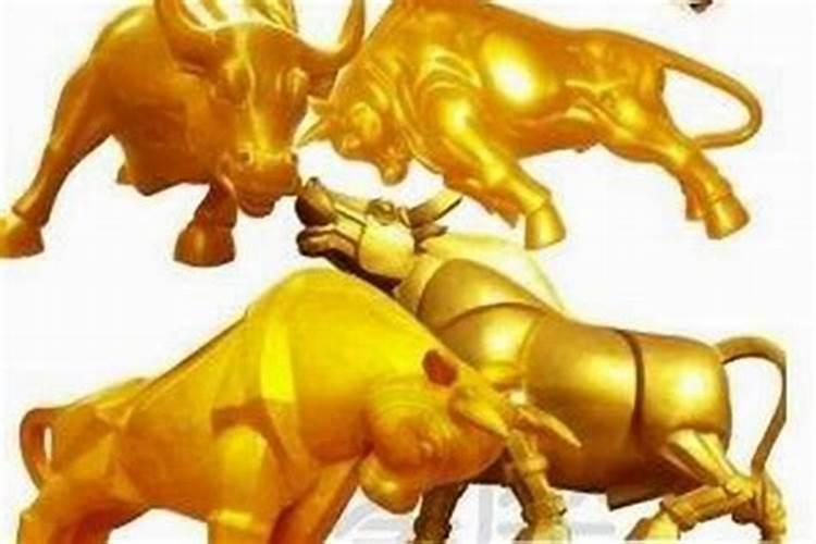 金牛座男人的事业