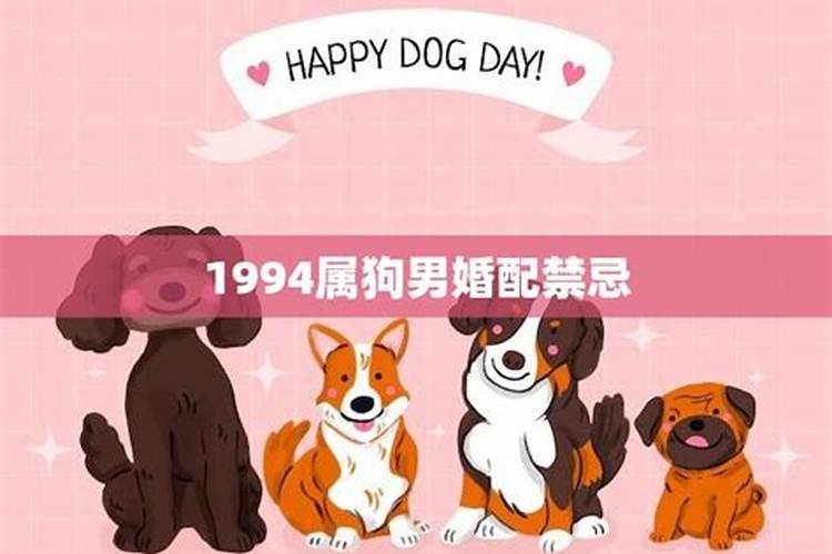 狗和什么属相冲