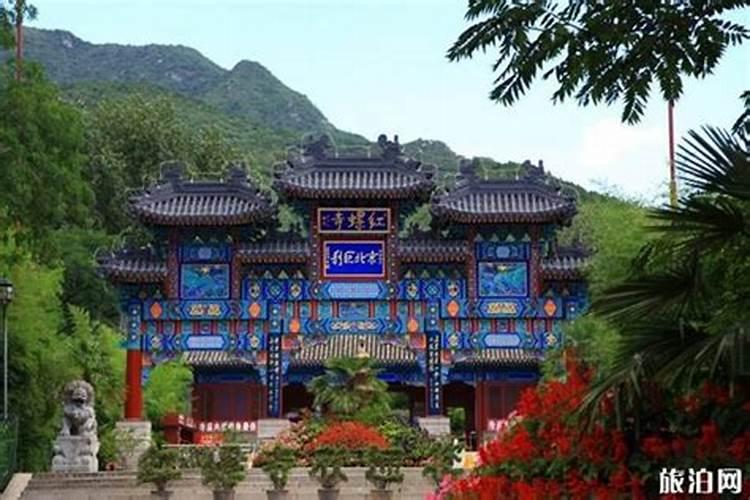 梦见马关在楼上的马厩里