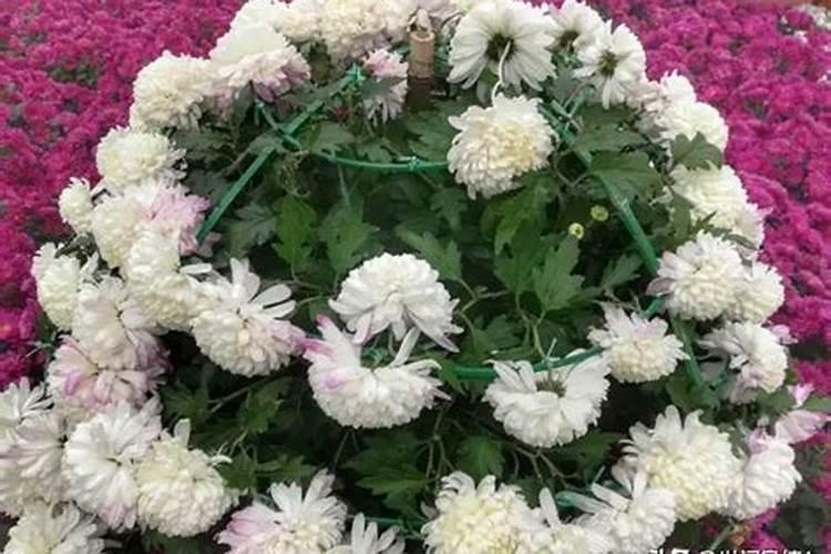 关于清明节祭母的诗句
