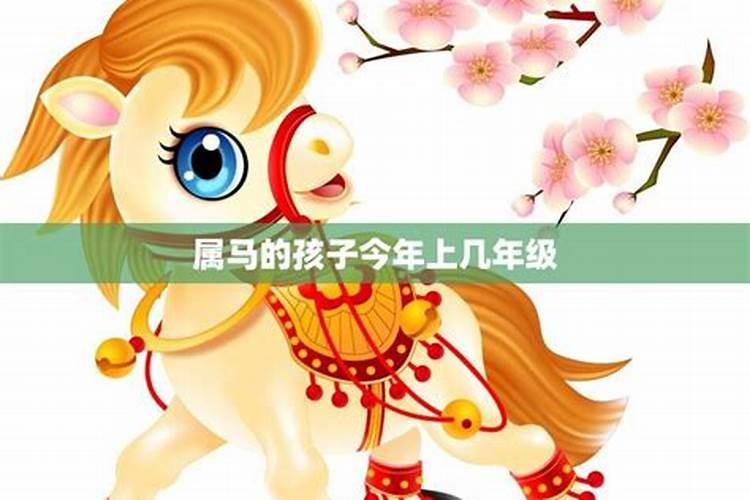 1990年的马今年运势,属马的今年运势和财运怎么样