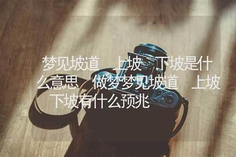 属牛男人和属鼠女人相配吗
