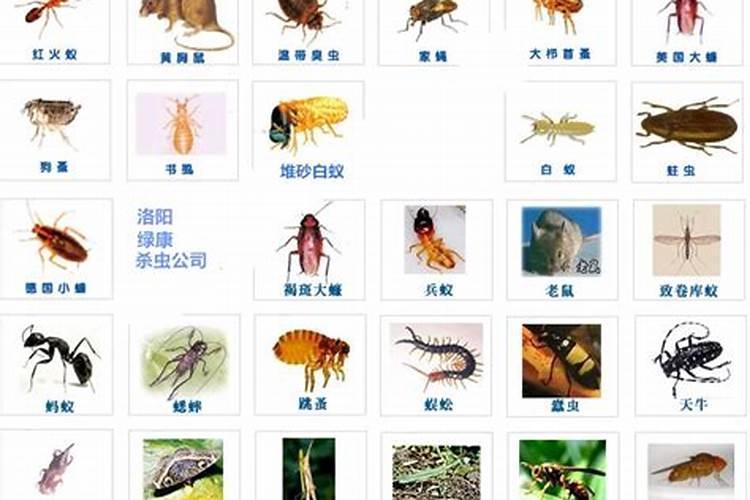 古人在定中元节日子的时候,为什么是定每年的七月十五日？