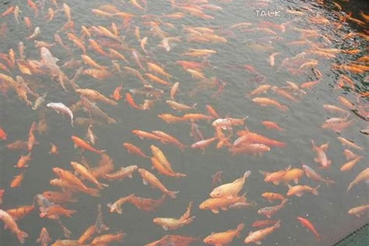 各星曜在官禄宫的预测,看看自己会有什么样的事业