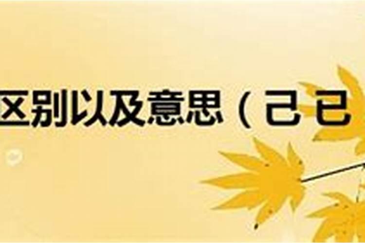 干支已巳是什么意思？