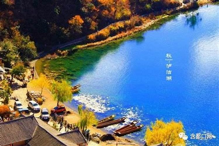 梦见老虎冲我吼叫是什么意思？