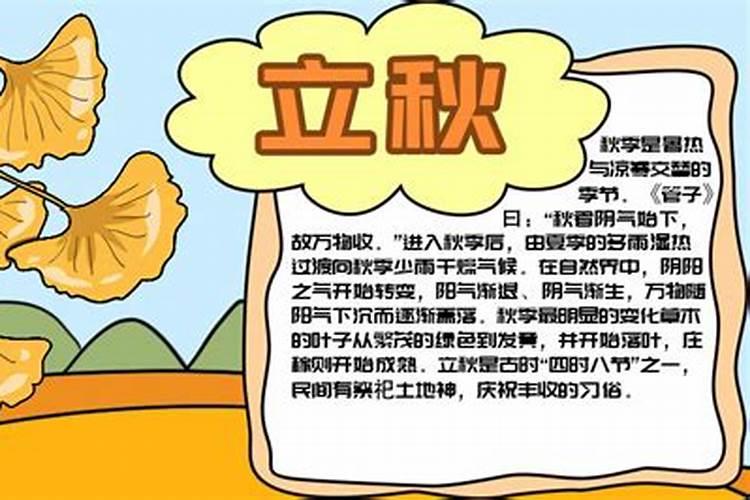 立秋小报手抄报内容
