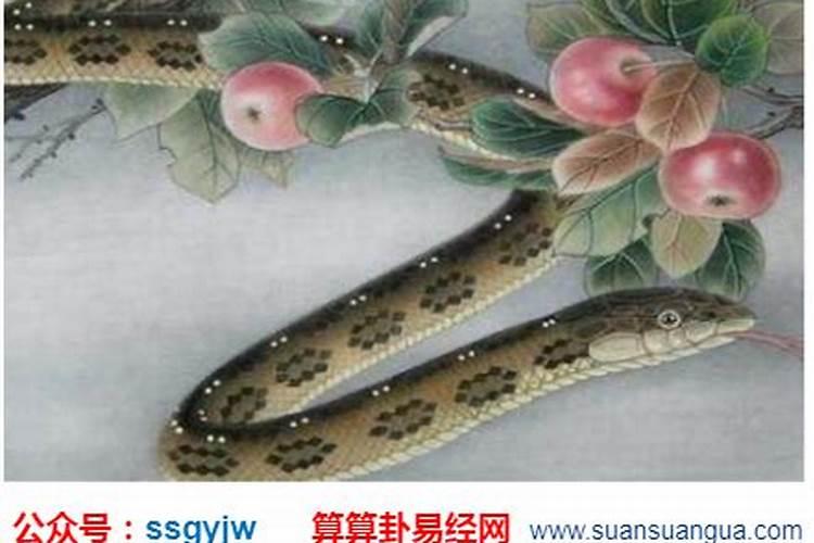 2001年12冃18号巳时出生的命运如何