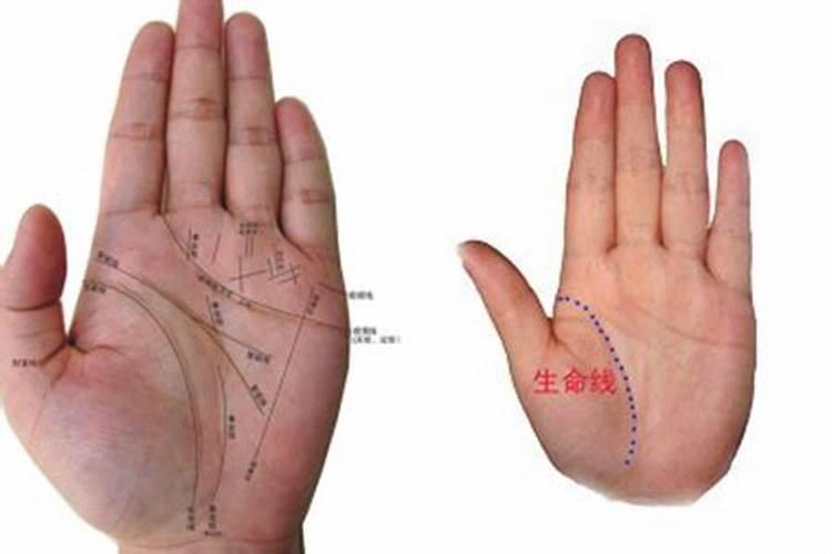 手掌生命线短命就短吗？