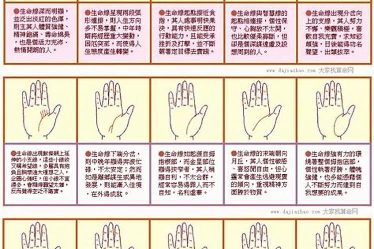 生命线短的人真的寿命比较短吗