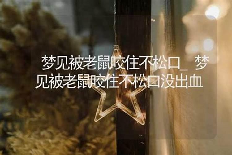 梦见自己的胳膊被老鼠咬了的预兆