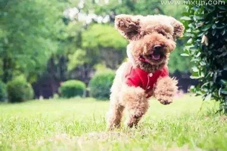 农历三月三是什么特殊节日