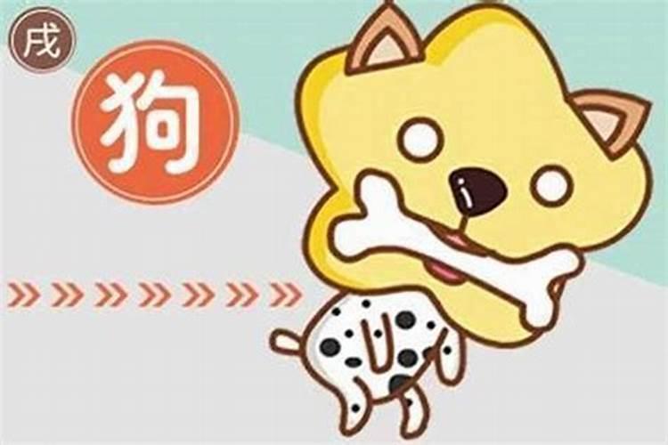 2025年属狗人全年运势及运程