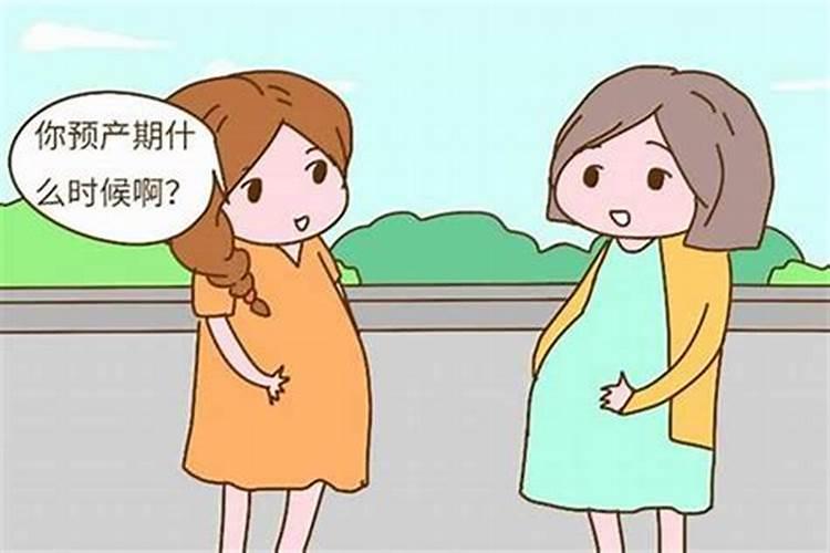 八字算命何时怀孕生子