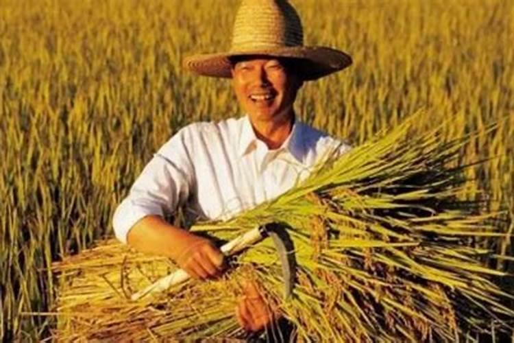 属龙2025年每月运势及运程详解