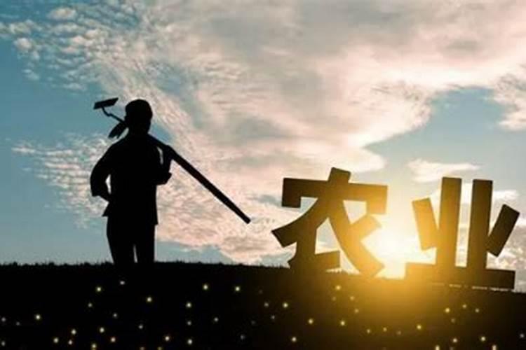 青山共风雨2025年6月4日十二生肖运程
