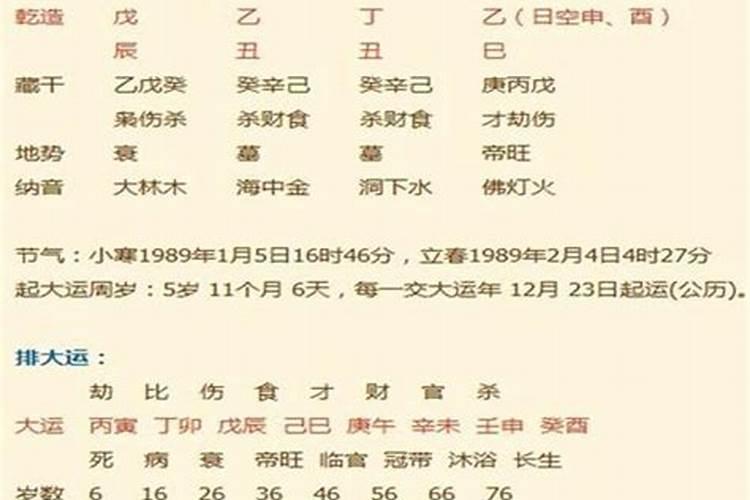 属猪是什么命