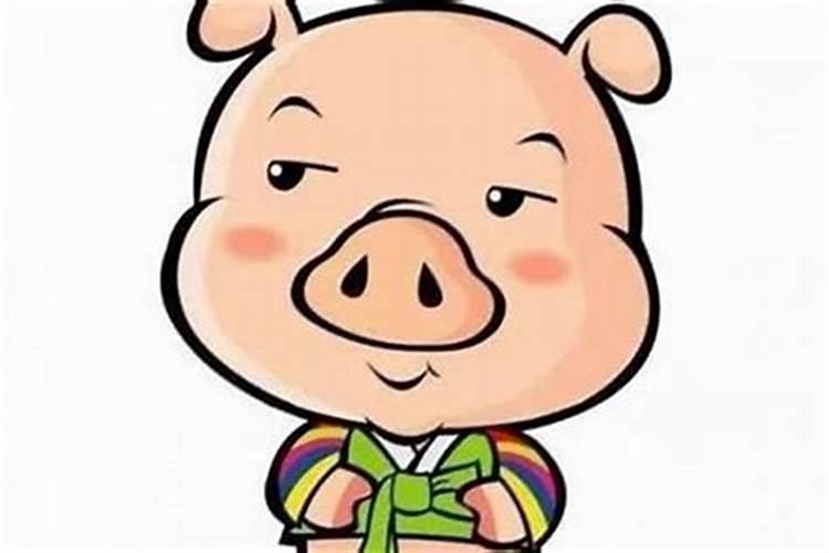 95年属猪什么星座,1995属猪的命运与婚姻