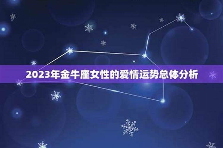 金牛女和金牛男恋爱会长久吗结果如何