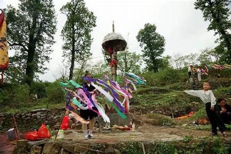 清明节可以杀鱼吗