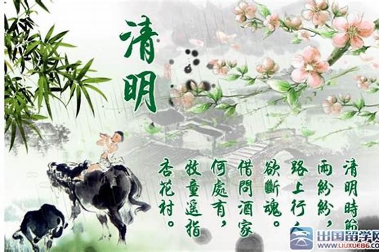 清明节是几月几号(阳历)