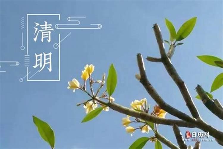 清明节还有哪些别称