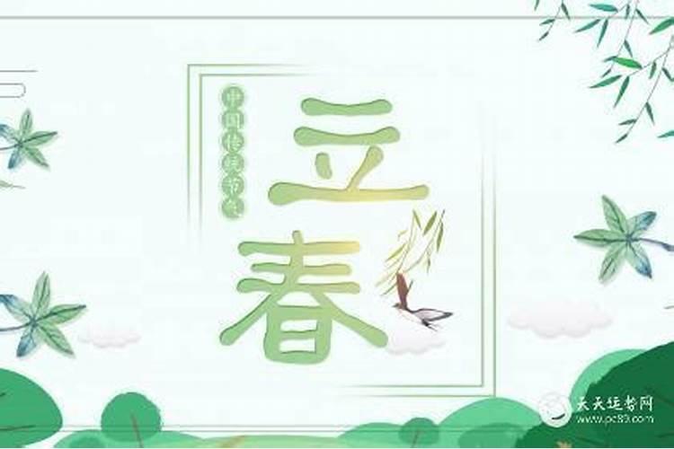 1991年属什么