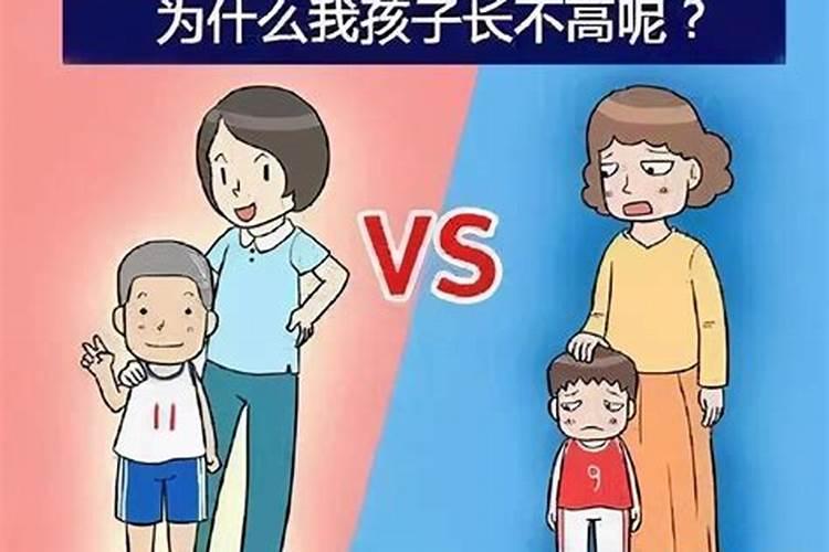 梦见小矮人是什么预兆