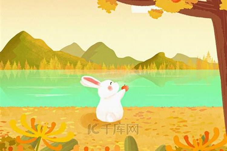 命格怎么看