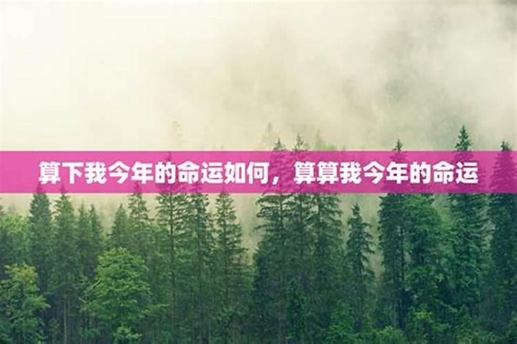 算一下自己的命运,我想算算一下自己的命运如何？
