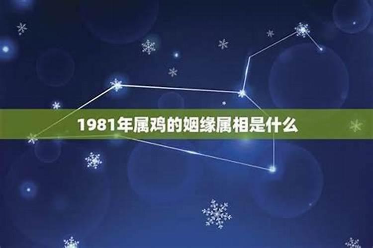 81年鸡财运最旺的几年？